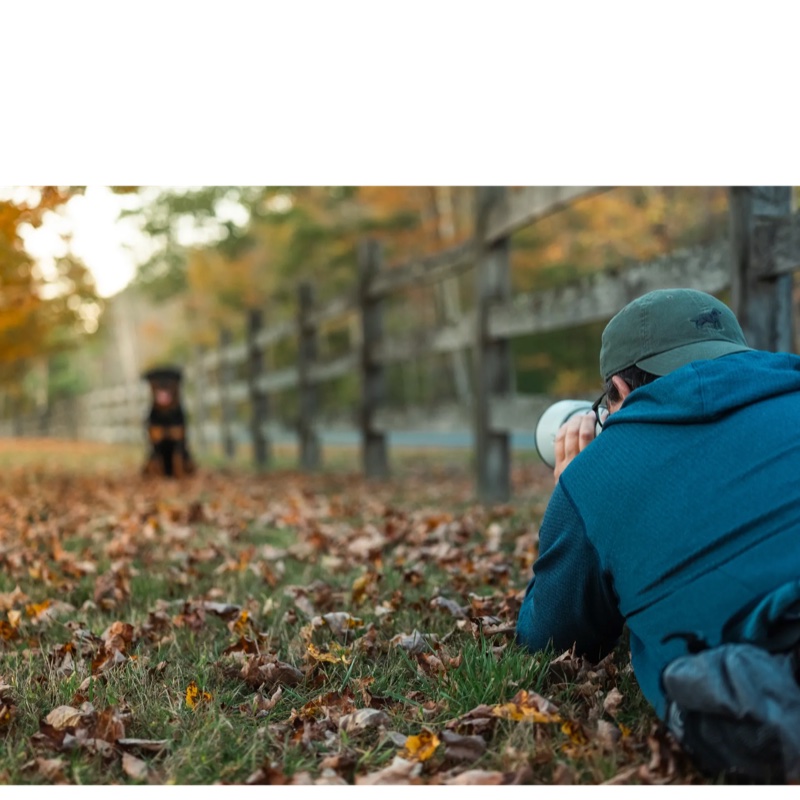 Photographer capturing a dog at a Breen Photo session.